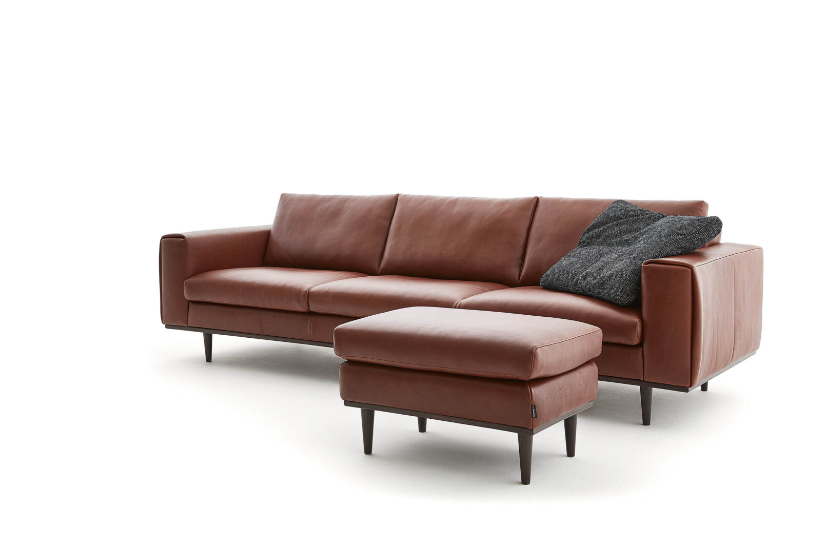 Ghế sofa FORMA, da bò Rhodezia thuộc khoáng từ vùng bushland Zimbabwe — dày 1.8-2.0mm, nhuộm Anilin, giữ nguyên tất cả dấu tự nhiên của da. Nhà sản xuất: Tommy M, CHLB Đức | Phân phối độc quyền bởi Eleganz Furniture Vietnam.